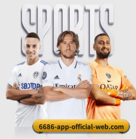 6686体育 APP